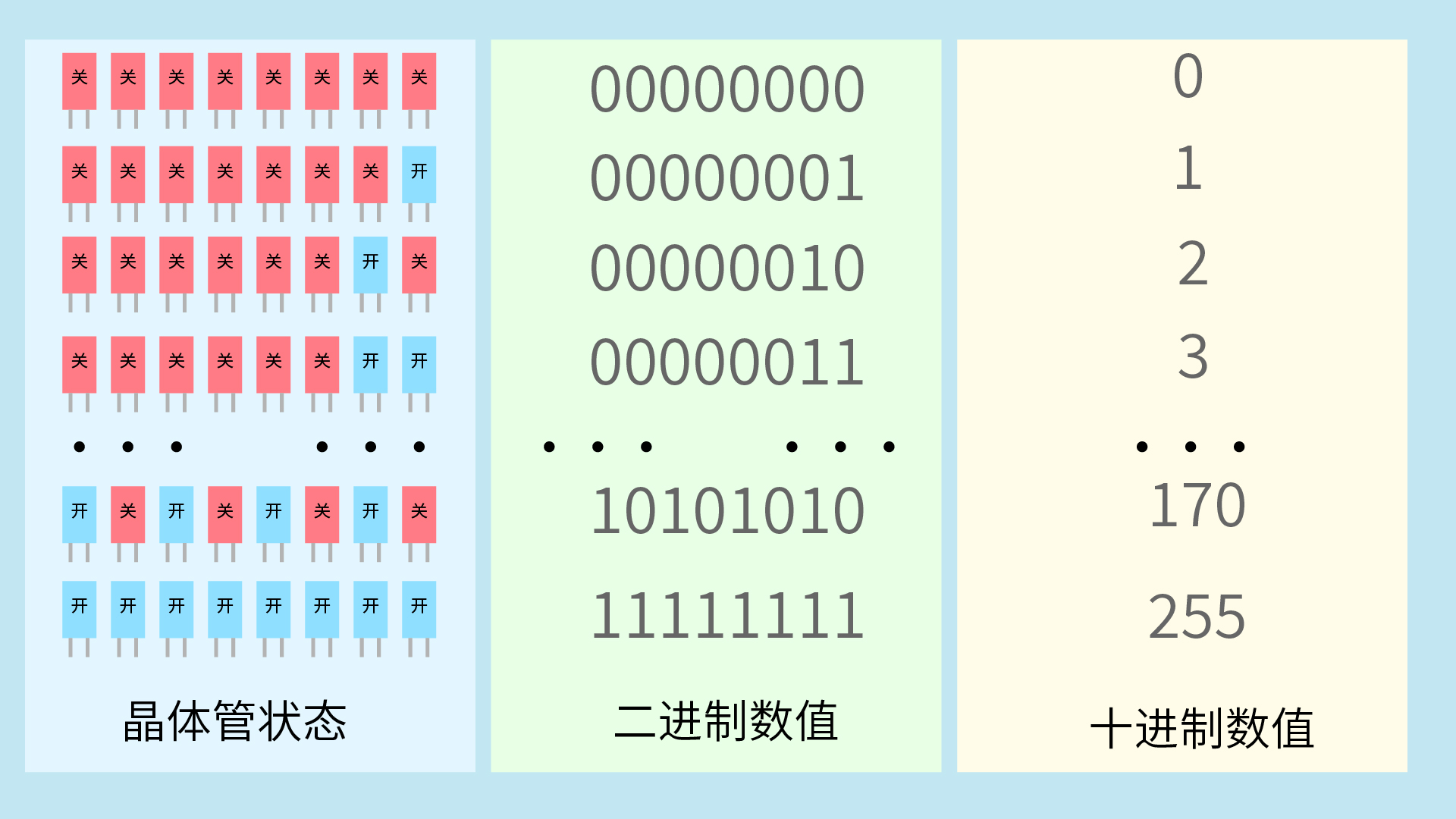 晶体管表达数据