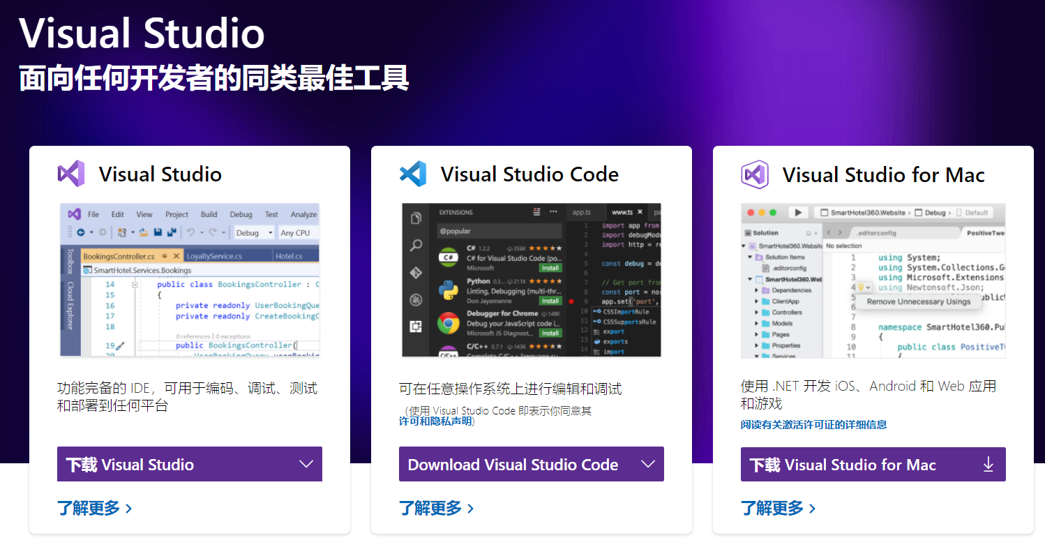 visual studio website